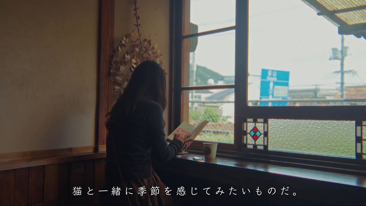 窓辺で本を読む後ろ姿