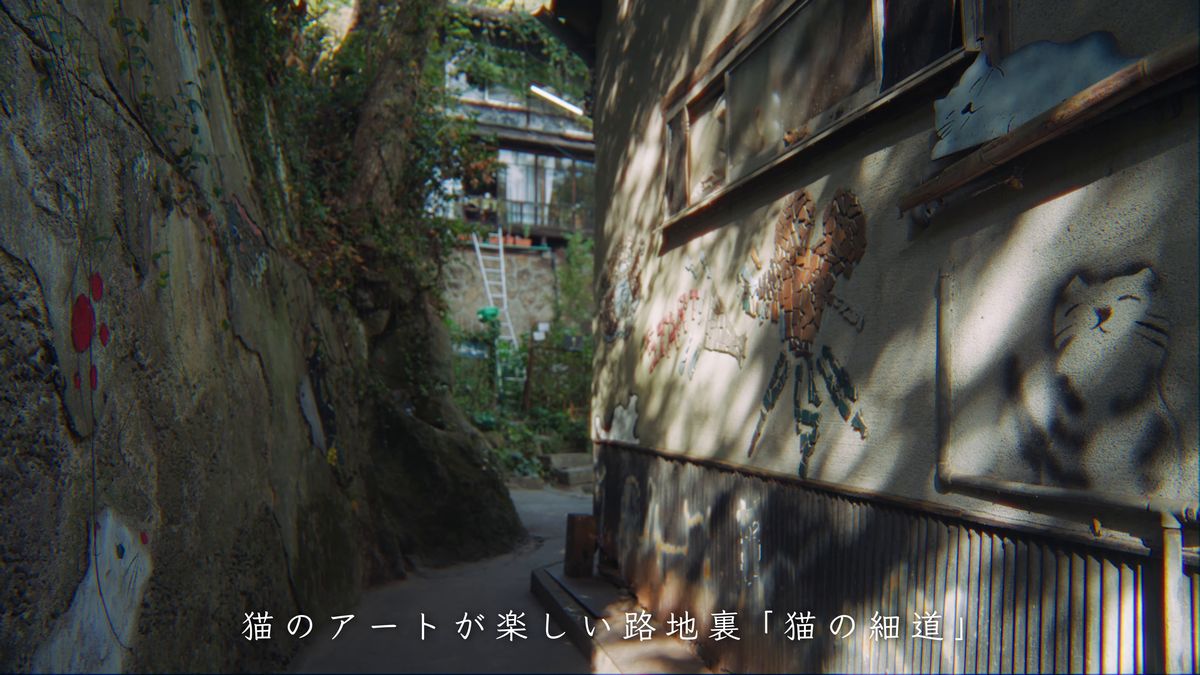 猫の細道