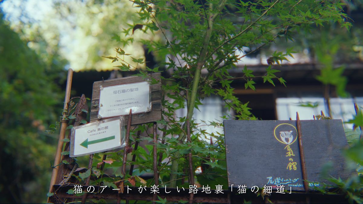 木立の間の「福石猫の聖地」の立て札と店の案内