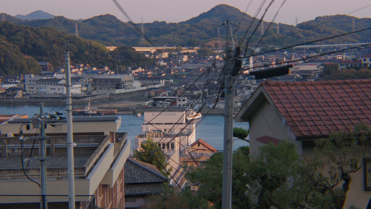 高台から見下ろす尾道の町並みと海