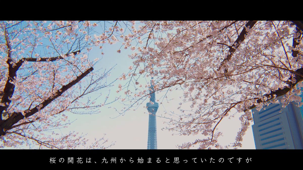 桜の枝越しにそびえる東京スカイツリー