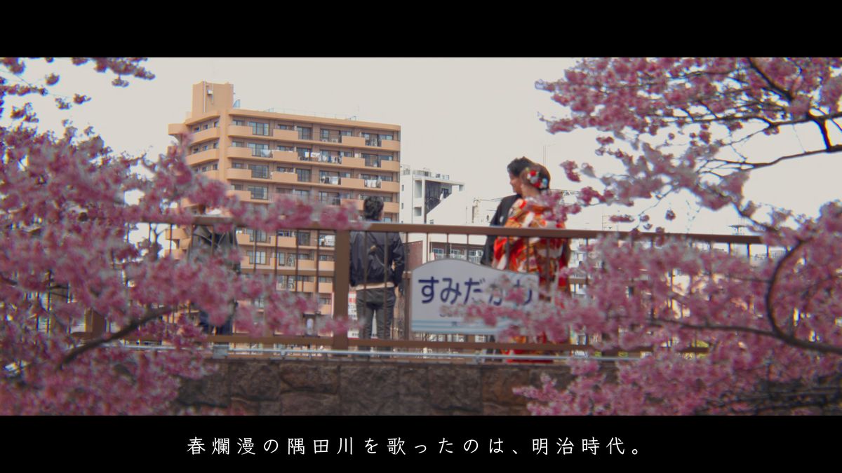 濃い桃色の桜越しに見る、川沿いの橋