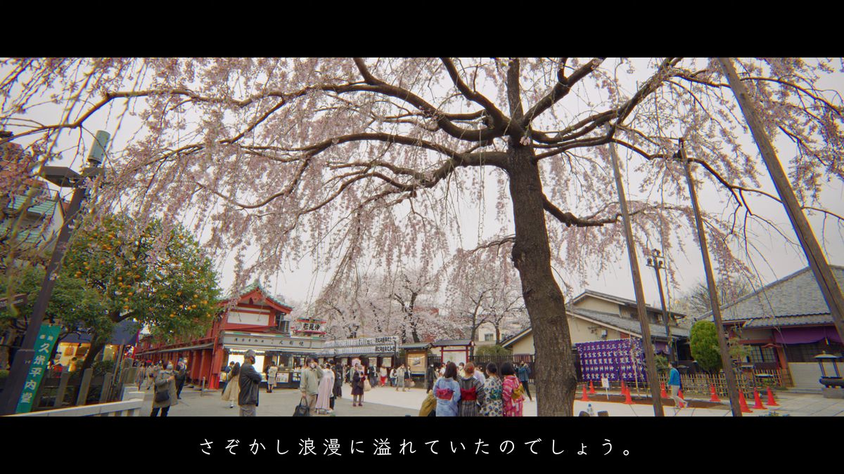 しだれ桜が枝を広げる浅草寺の境内