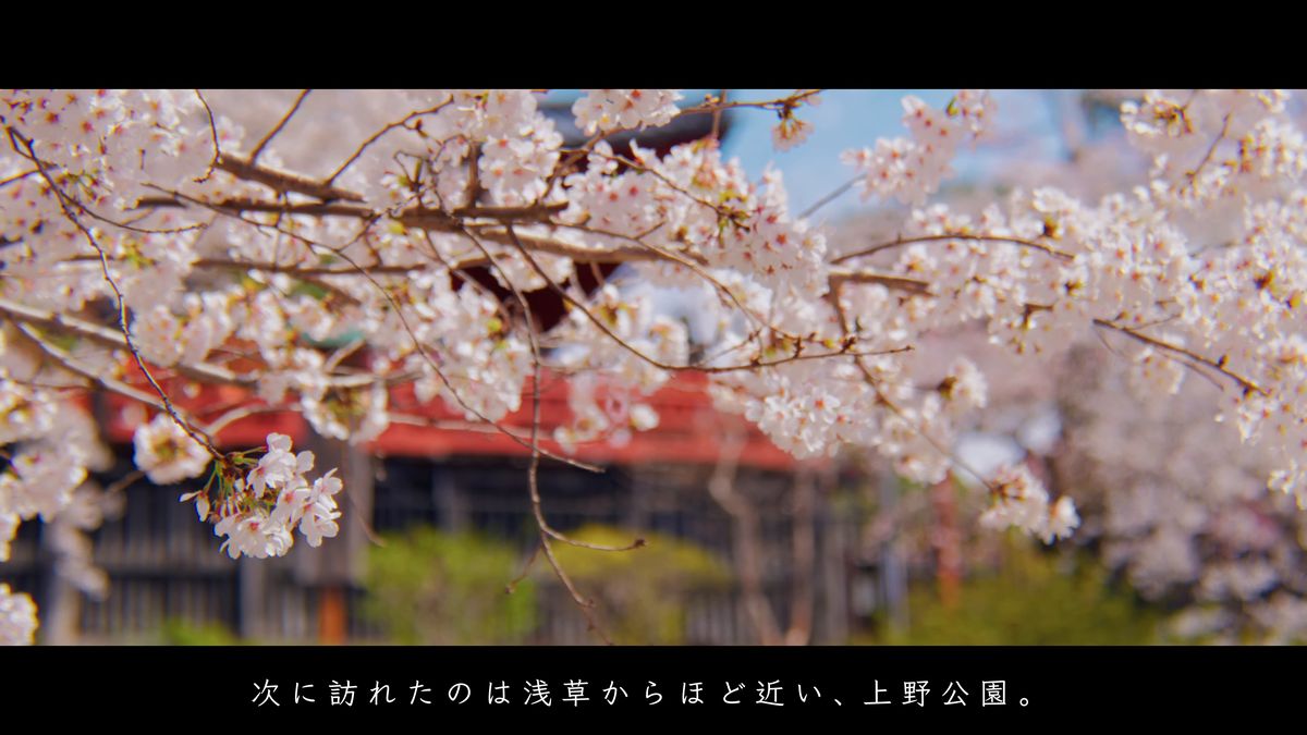花の向こうに赤い屋根がのぞく桜の枝