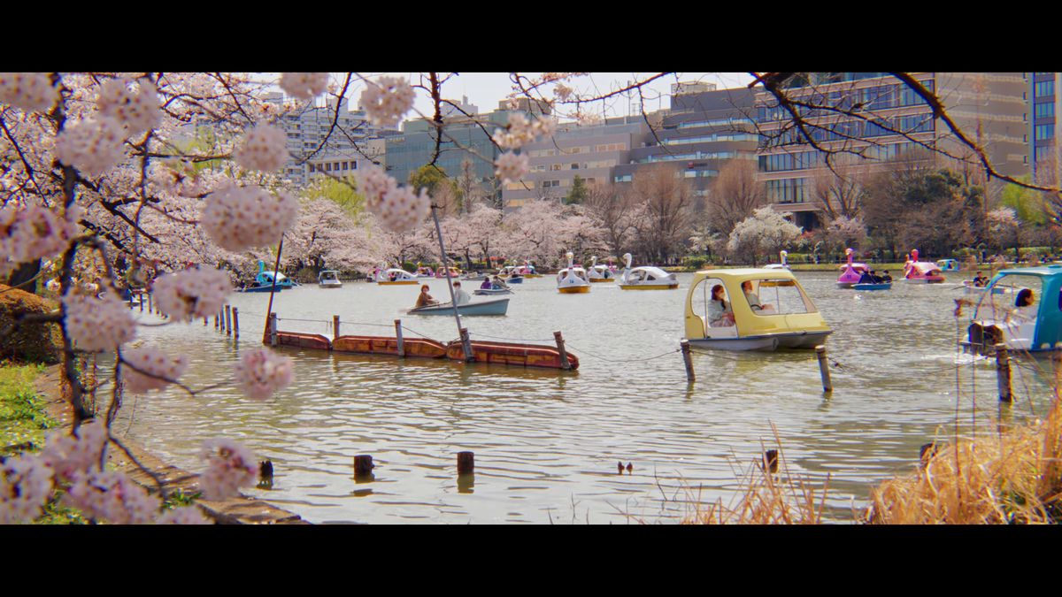桜に囲まれた不忍池に浮かぶボート