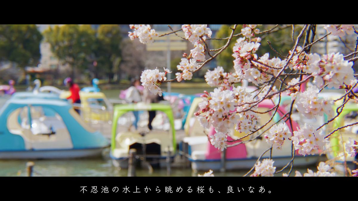 桜の枝越しに見る、色とりどりのボート