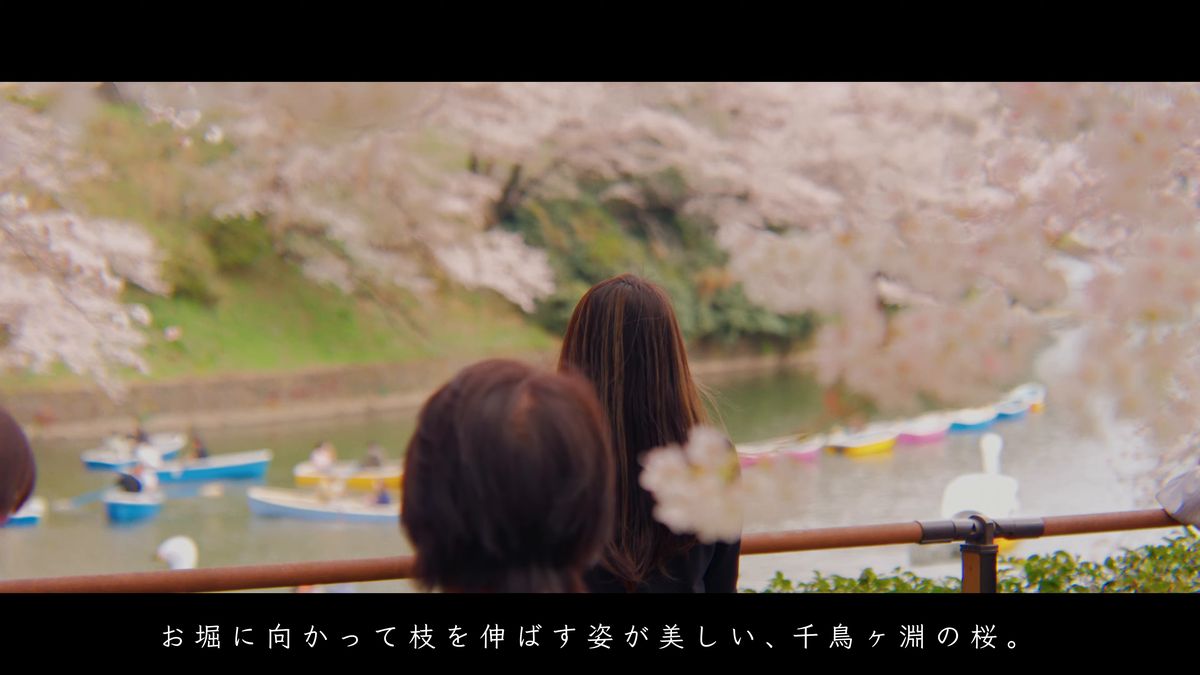 柵の前でお堀の桜を眺める人たちの後ろ姿