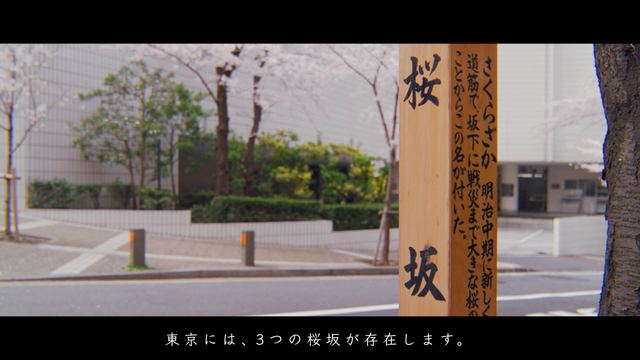 Tokyo's Sakurazaka slopes