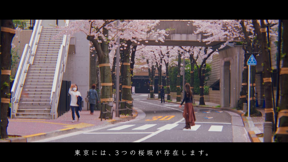 歩道橋のそばの桜並木と、横断歩道を渡る姿