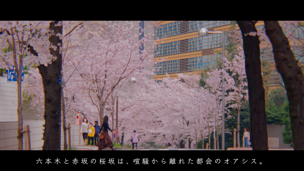 ビルの谷間に続く桜並木