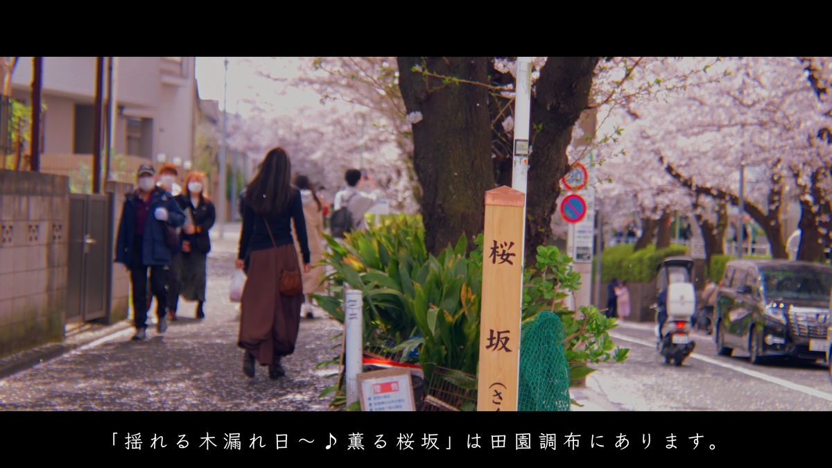 「桜坂」の標柱と、花びらの散る坂道