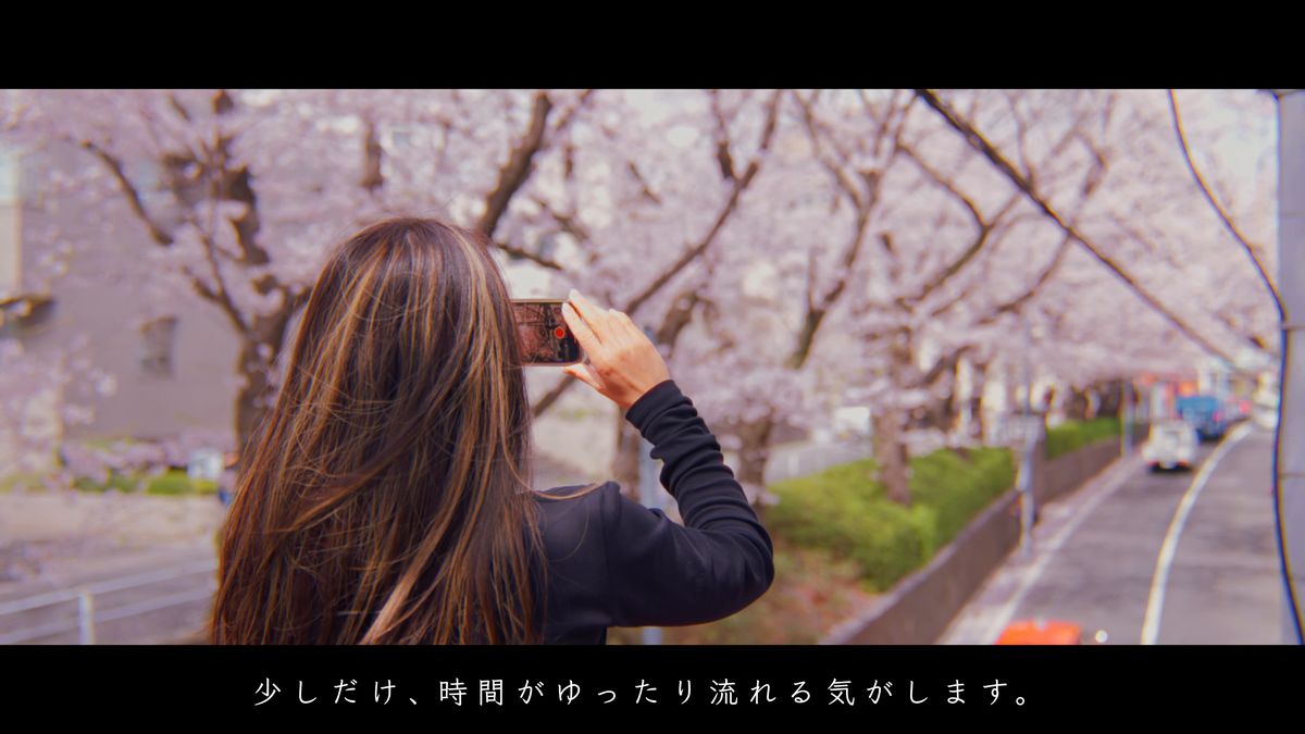 橋の上から桜の坂道を撮る後ろ姿
