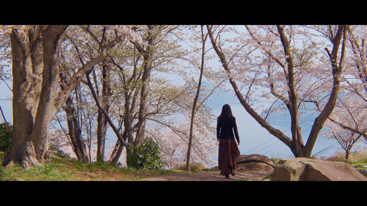 桜の林の向こうの海へ歩いていく後ろ姿