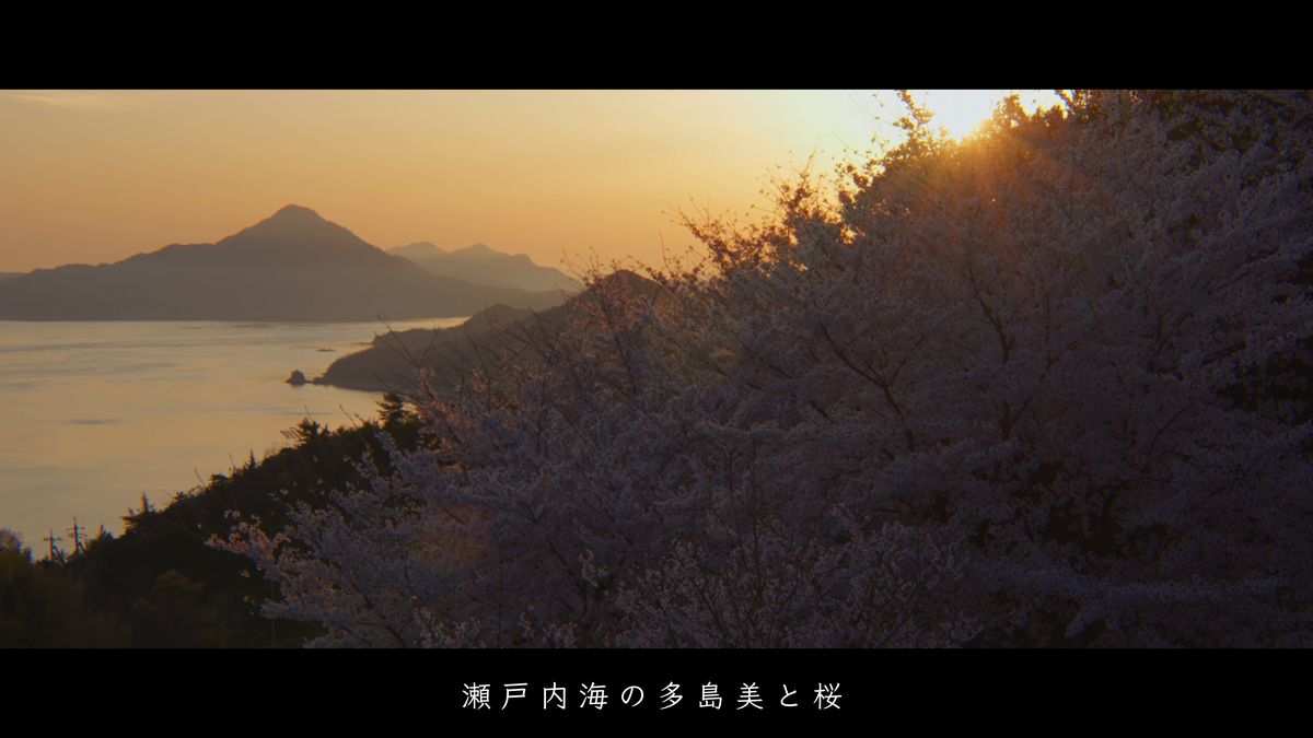 夕日に照らされる桜と、海に浮かぶ山