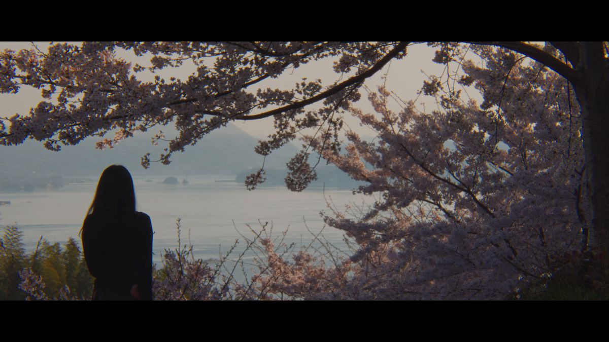 桜の枝の下で海を見つめる後ろ姿