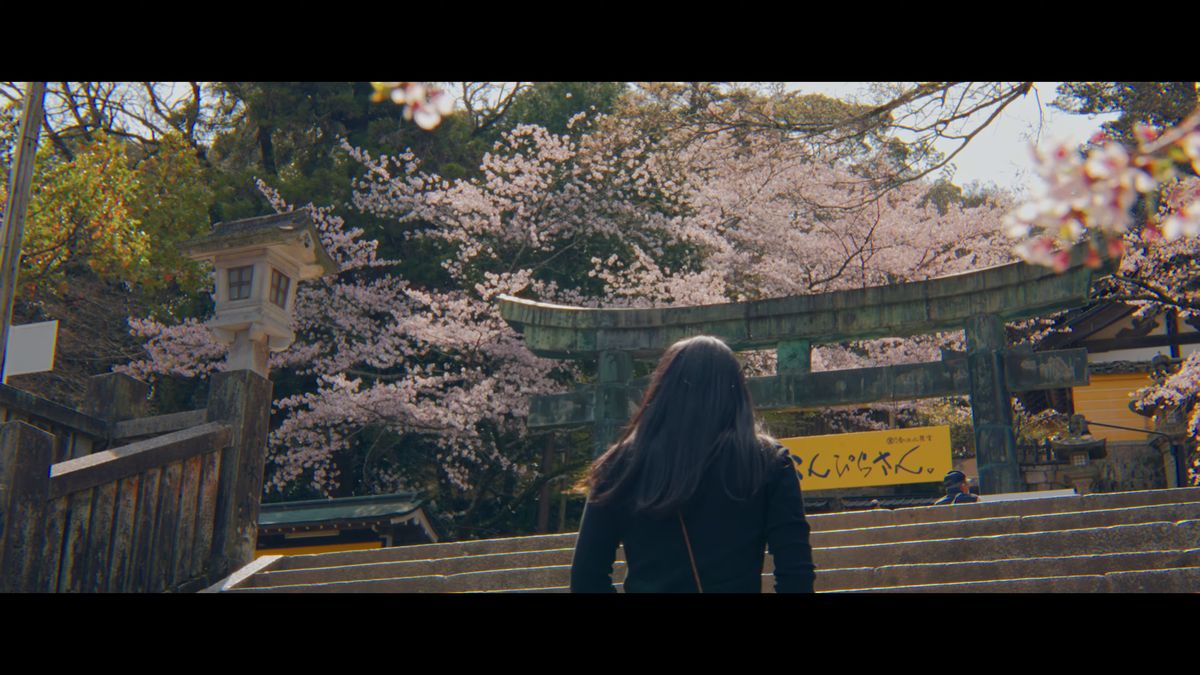 青銅の鳥居へ石段を上る後ろ姿
