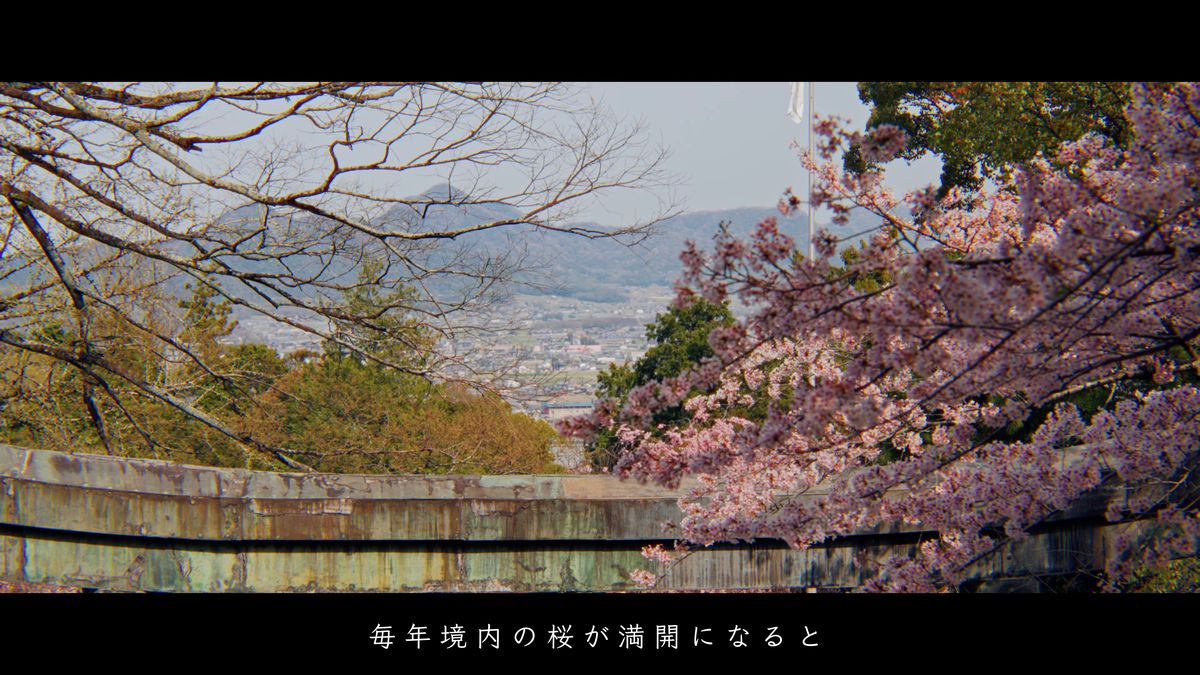 石段の上から見下ろす讃岐の町と桜