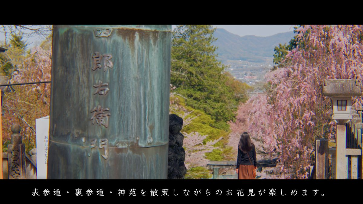 刻銘のある青銅の柱と、しだれ桜の参道