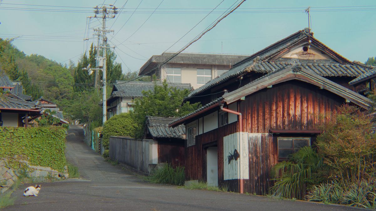 板壁の家が並ぶ集落の道と、道端の猫