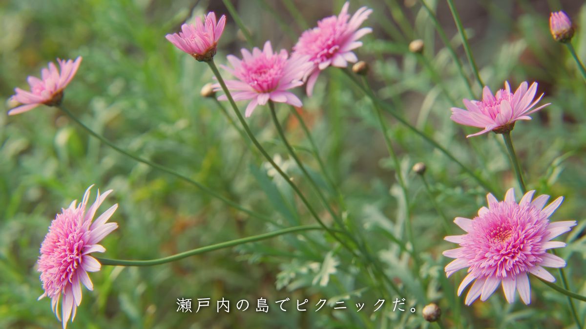 道端に咲くピンクの花