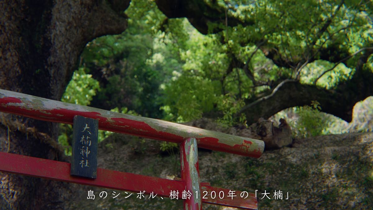 赤い鳥居に掛かる「大楠神社」の札