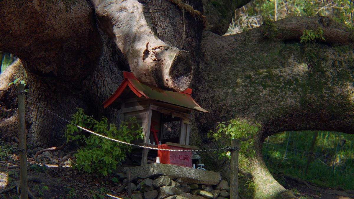 大楠の根元の小さな祠