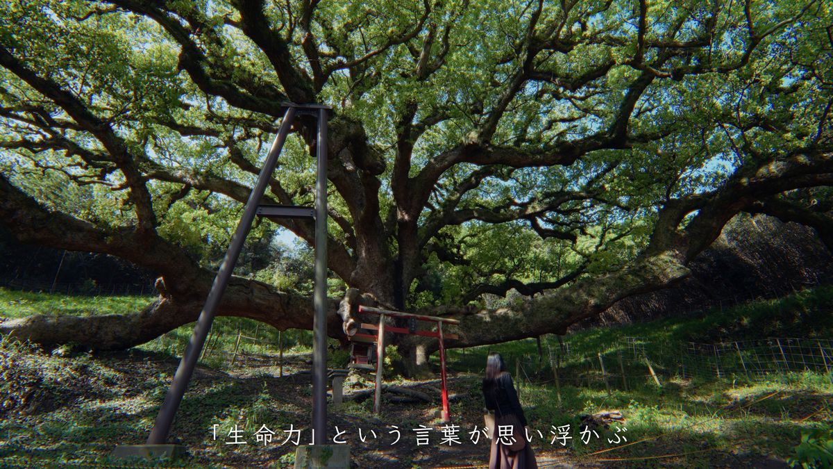 大楠の枝の下に立つ後ろ姿