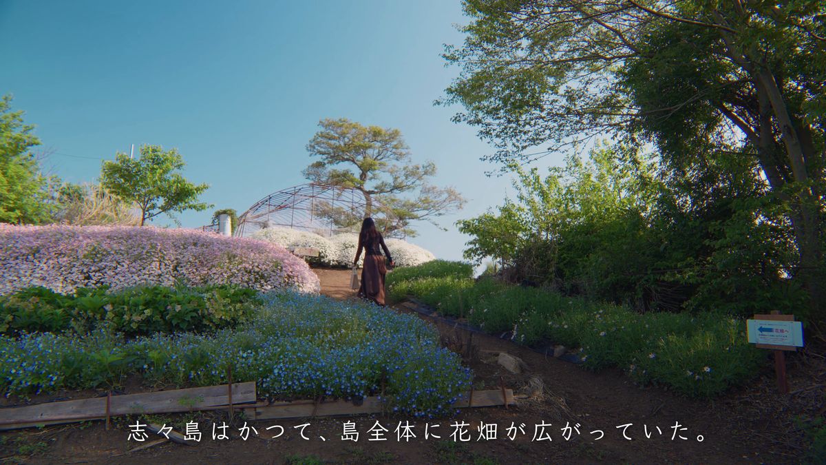 天空の花畑