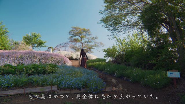 The Flower Garden in the Sky