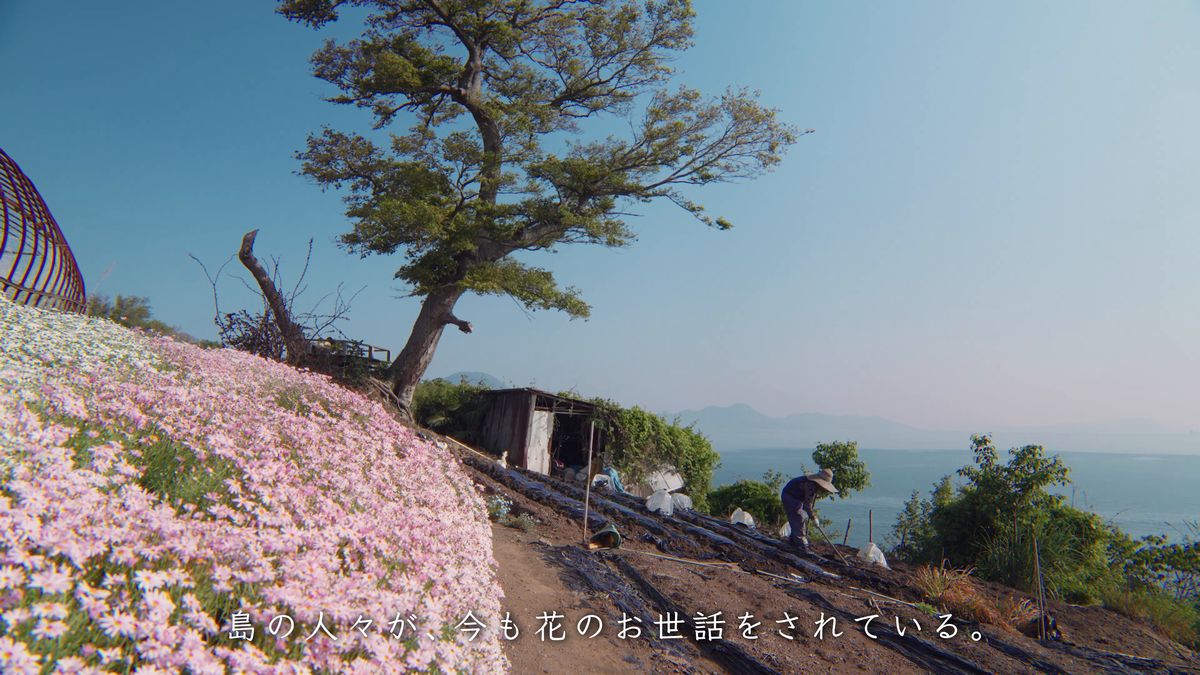 海を背に畑の手入れをする島の人