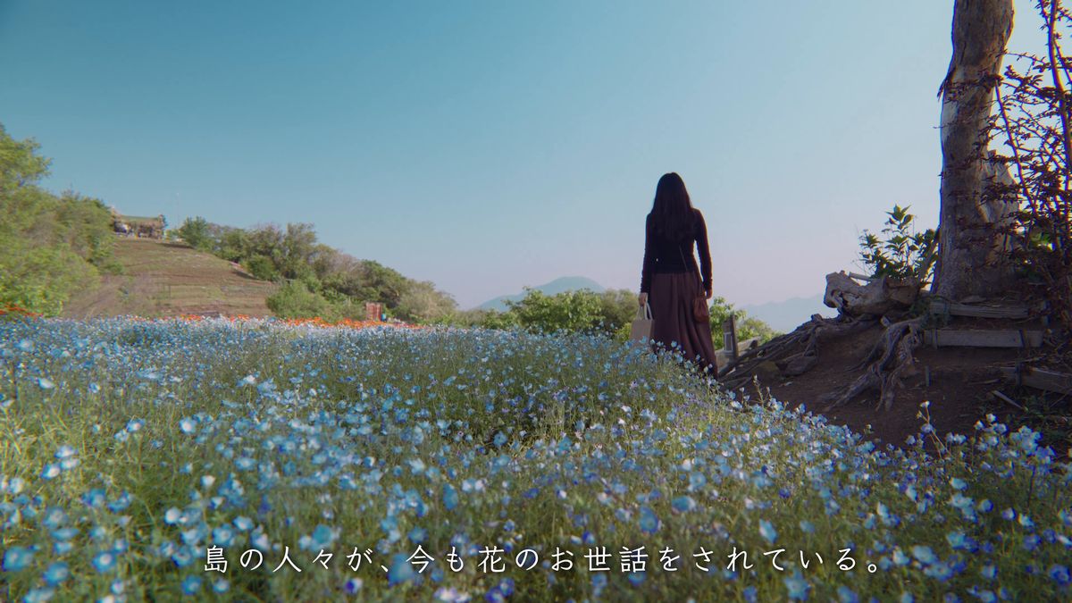 ネモフィラの中に立つ後ろ姿