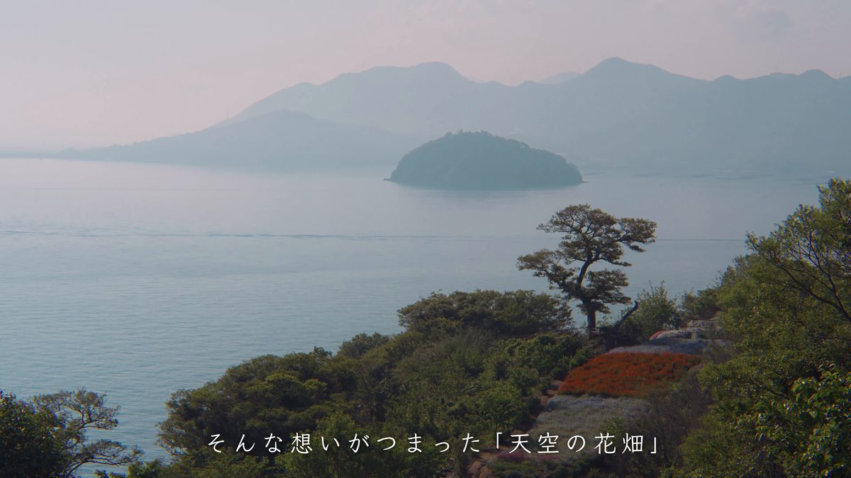 花畑から見下ろす海と島影