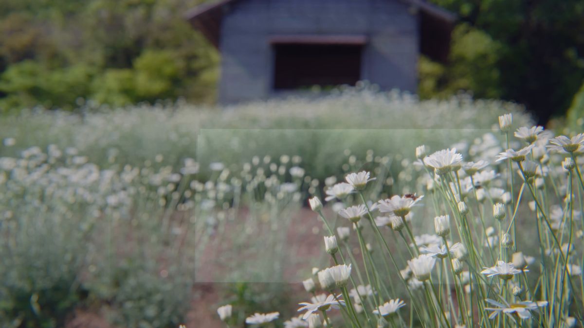 白い花越しに見える展望台