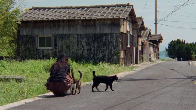 古い家並みの道でしゃがむ後ろ姿と、横切る黒猫