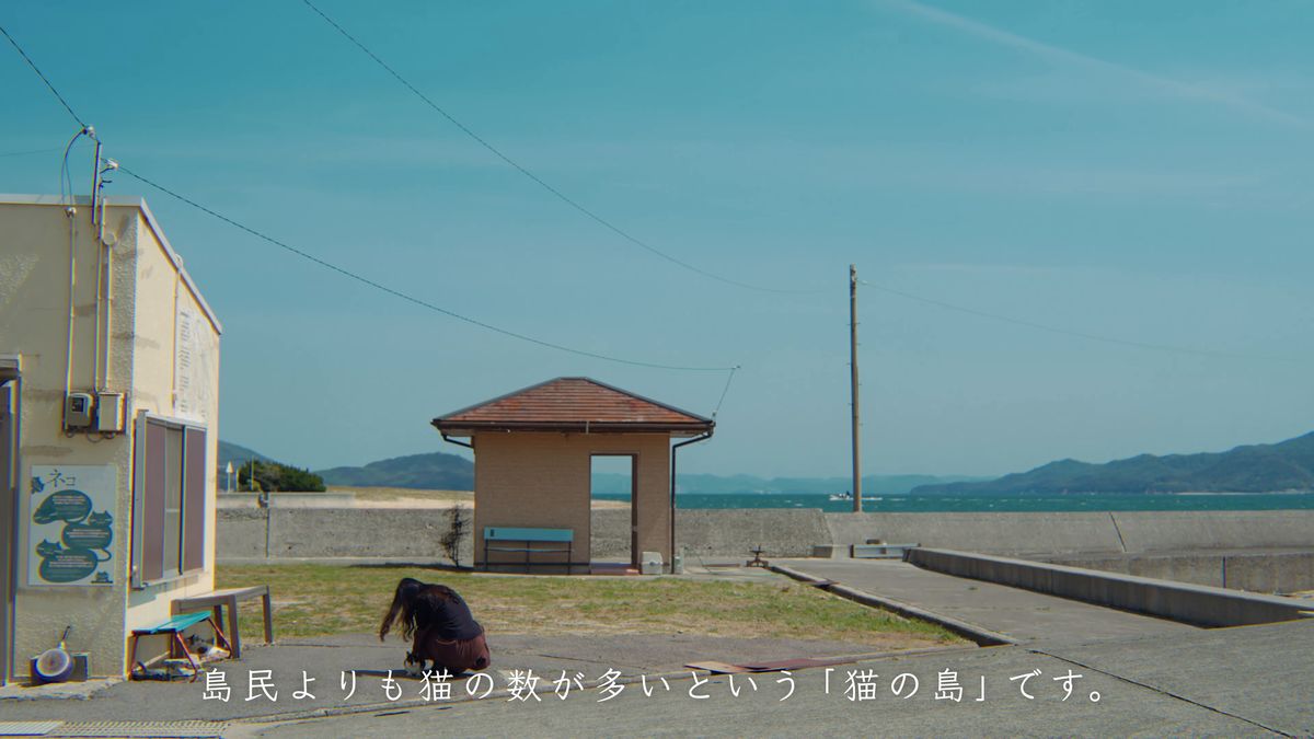 港の待合所の前でしゃがみ、猫と向き合う後ろ姿
