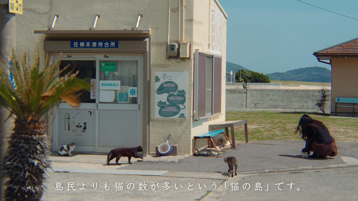 佐柳島