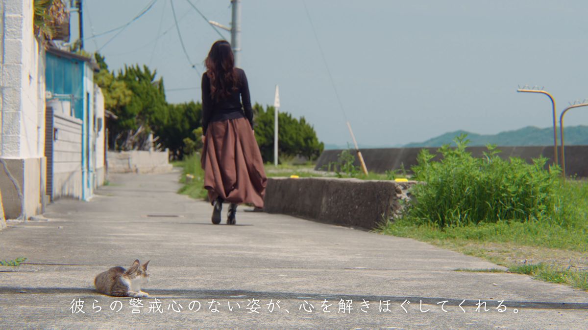 海沿いの路地を歩く後ろ姿と、あとをついてくる猫