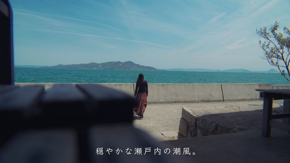 海沿いの堤防の道を歩く後ろ姿