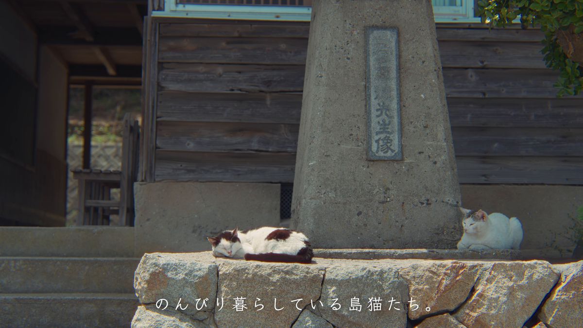 石碑の足元で寝そべる猫たち