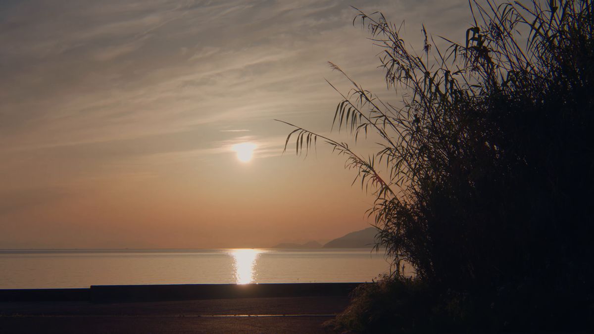 草の影越しに海へ沈む夕日
