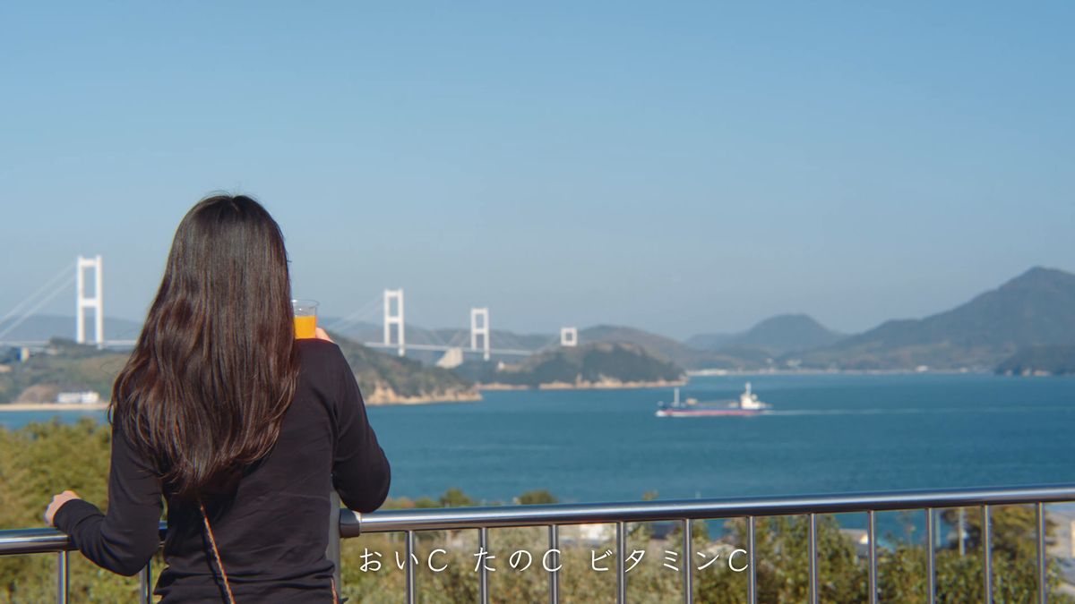来島海峡大橋としまなみ海道
