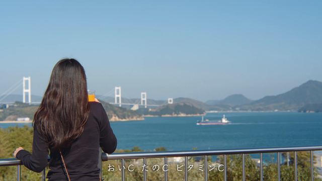 The Kurushima Kaikyo Bridge and the Shimanami Kaido