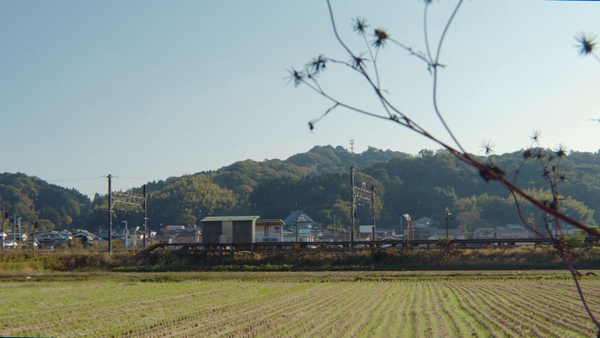 枯れ草越しの畑と山並み