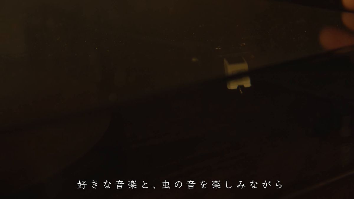 暗がりの中、レコードにのせた針