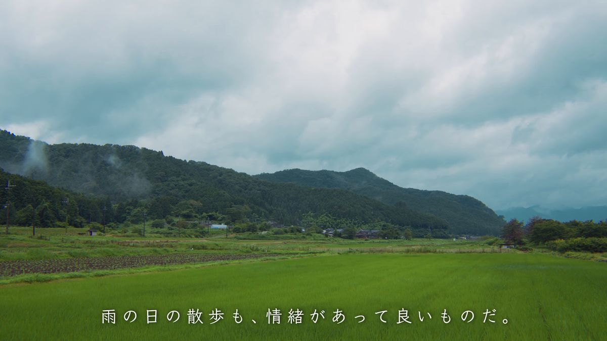 低い雲のかかる山と田んぼ
