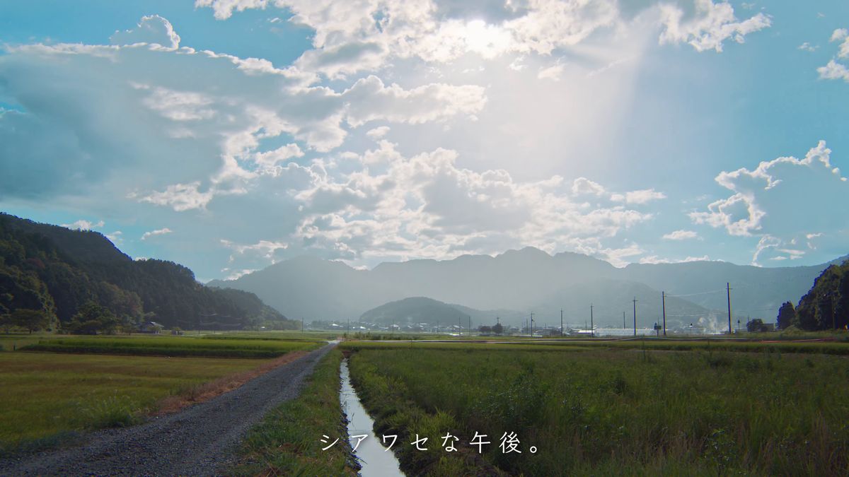 雲の切れ間から日の差す田んぼの道