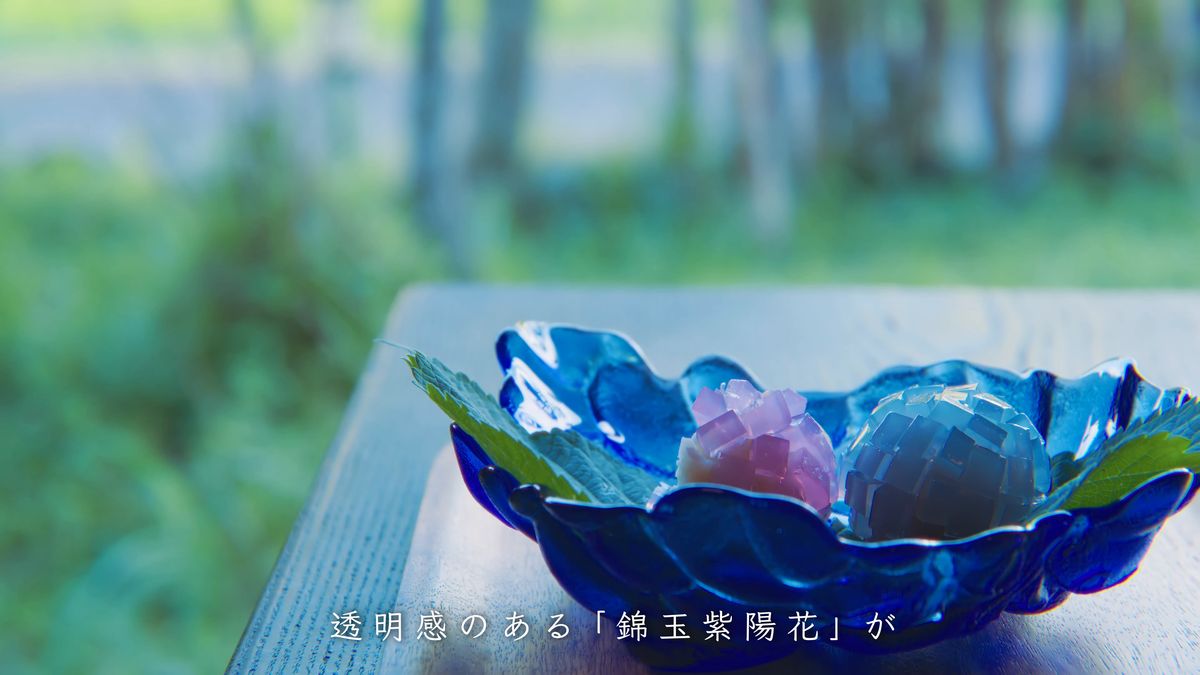 青いガラスの器に並ぶ2色の錦玉紫陽花