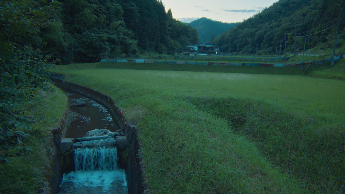 水かさの増した小川と田んぼ