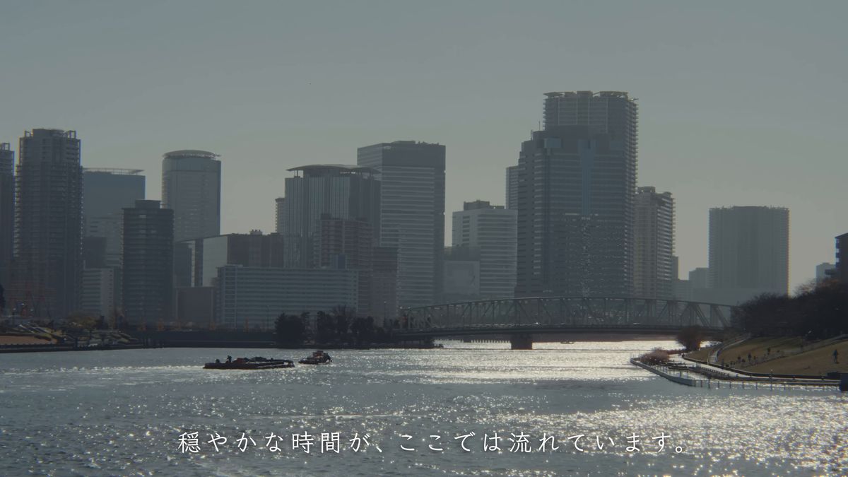 隅田川の向こうに並ぶ高層ビルと橋